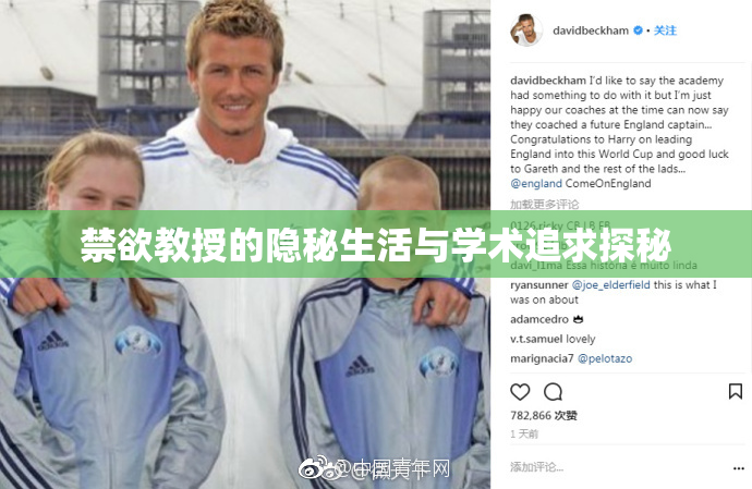 禁欲教授的隐秘生活与学术追求探秘