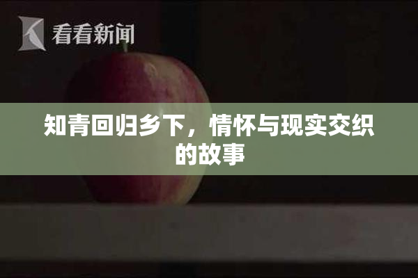 知青回归乡下，情怀与现实交织的故事