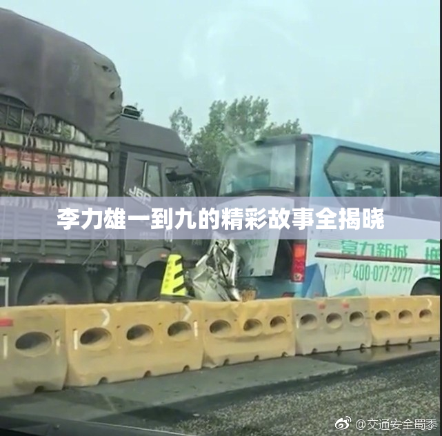 李力雄一到九的精彩故事全揭晓