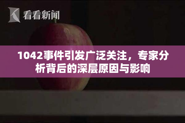 1042事件引发广泛关注，专家分析背后的深层原因与影响