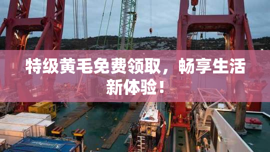 特级黄毛免费领取，畅享生活新体验！
