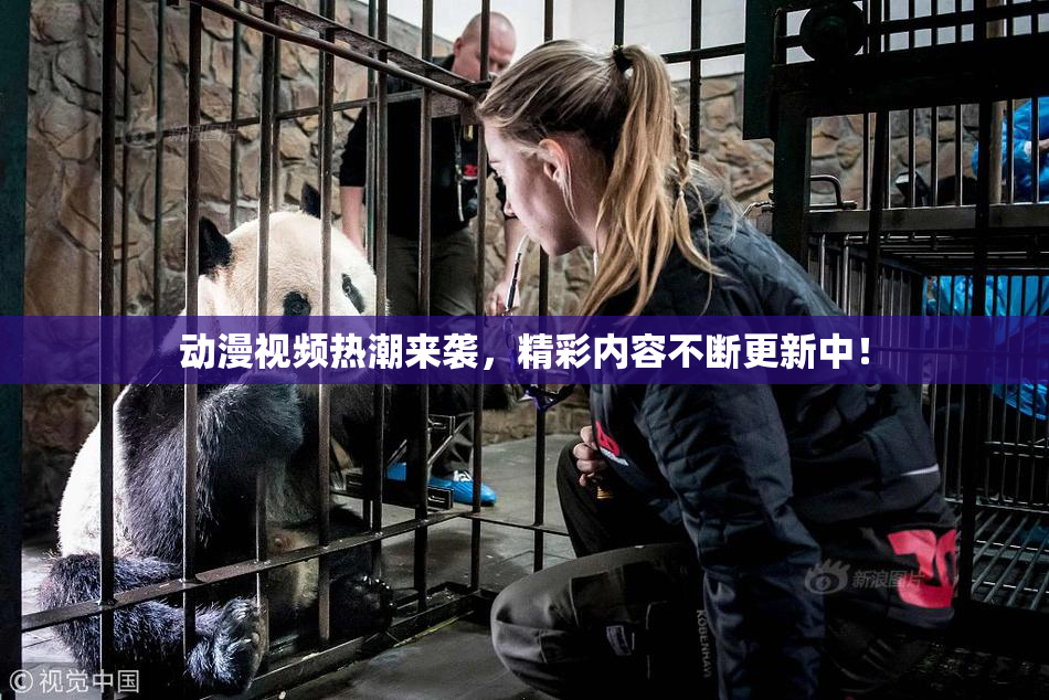 动漫视频热潮来袭，精彩内容不断更新中！