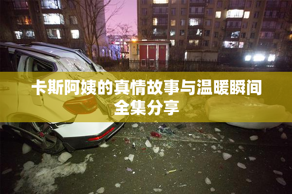 卡斯阿姨的真情故事与温暖瞬间全集分享
