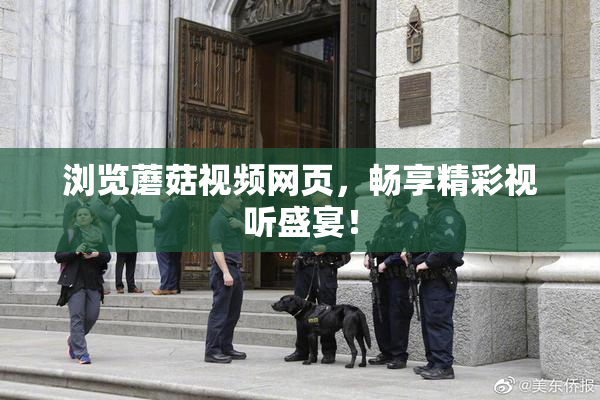 浏览蘑菇视频网页，畅享精彩视听盛宴！