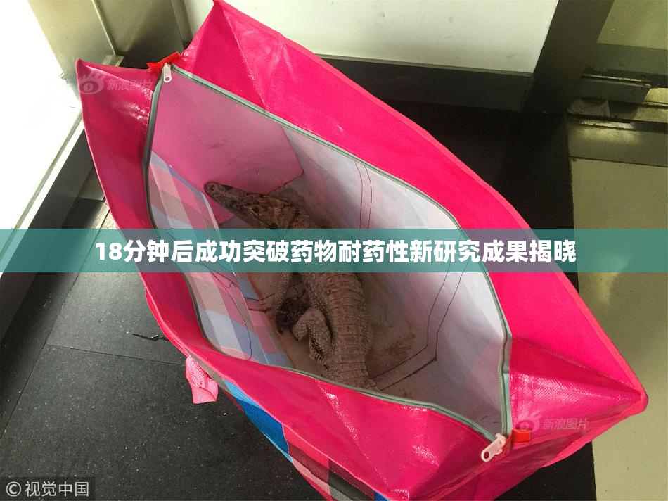 18分钟后成功突破药物耐药性新研究成果揭晓