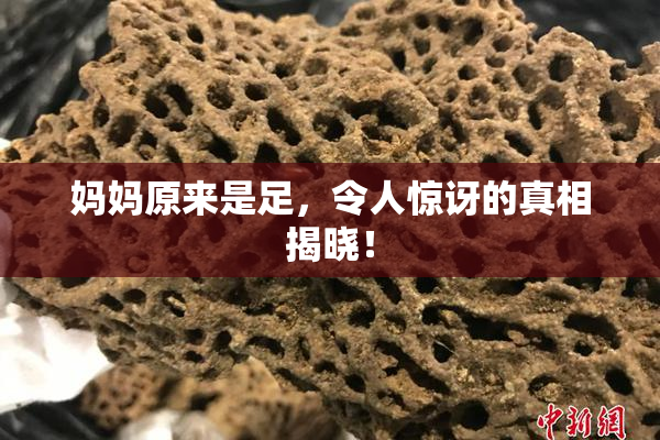 妈妈原来是足，令人惊讶的真相揭晓！