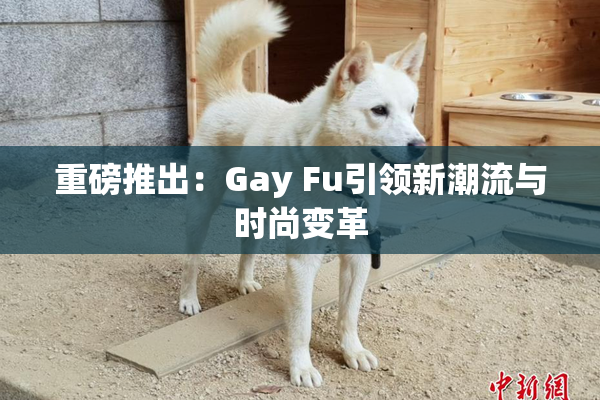 重磅推出：Gay Fu引领新潮流与时尚变革
