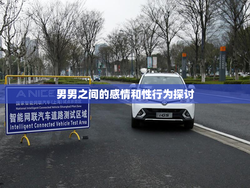 男男之间的感情和性行为探讨