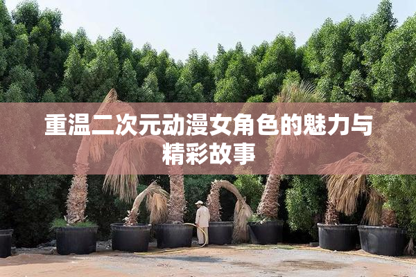 重温二次元动漫女角色的魅力与精彩故事