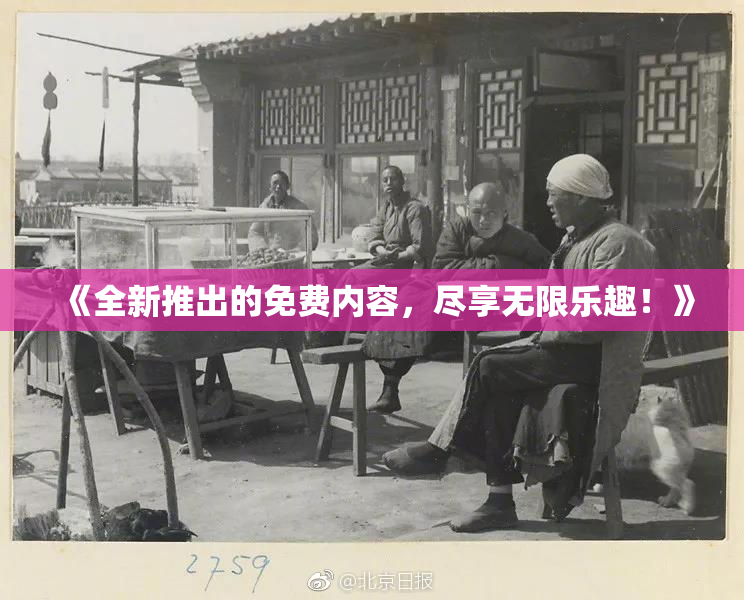 《全新推出的免费内容，尽享无限乐趣！》