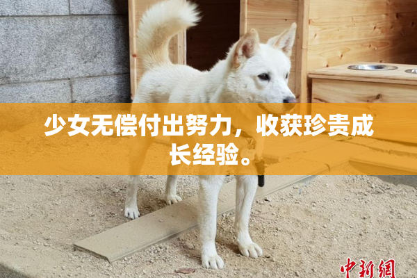 少女无偿付出努力，收获珍贵成长经验。