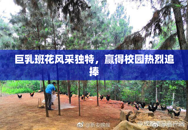 巨乳班花风采独特，赢得校园热烈追捧