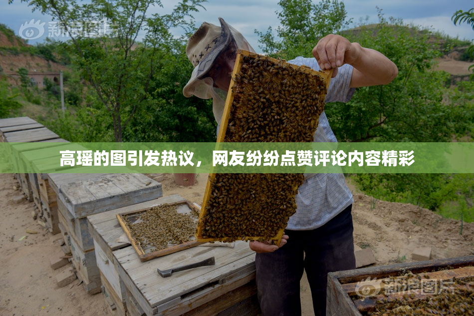 高瑶的图引发热议，网友纷纷点赞评论内容精彩