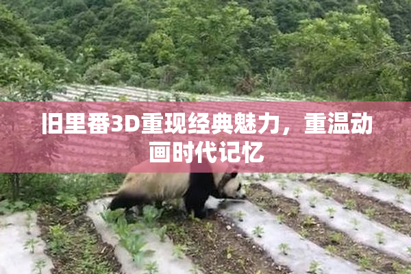 旧里番3D重现经典魅力，重温动画时代记忆