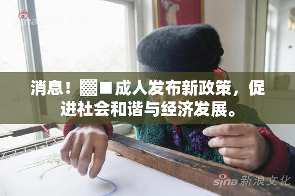 消息！▓■成人发布新政策，促进社会和谐与经济发展。
