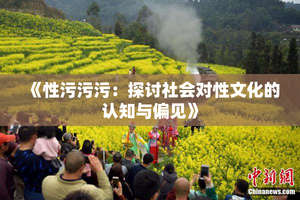 《性污污污：探讨社会对性文化的认知与偏见》