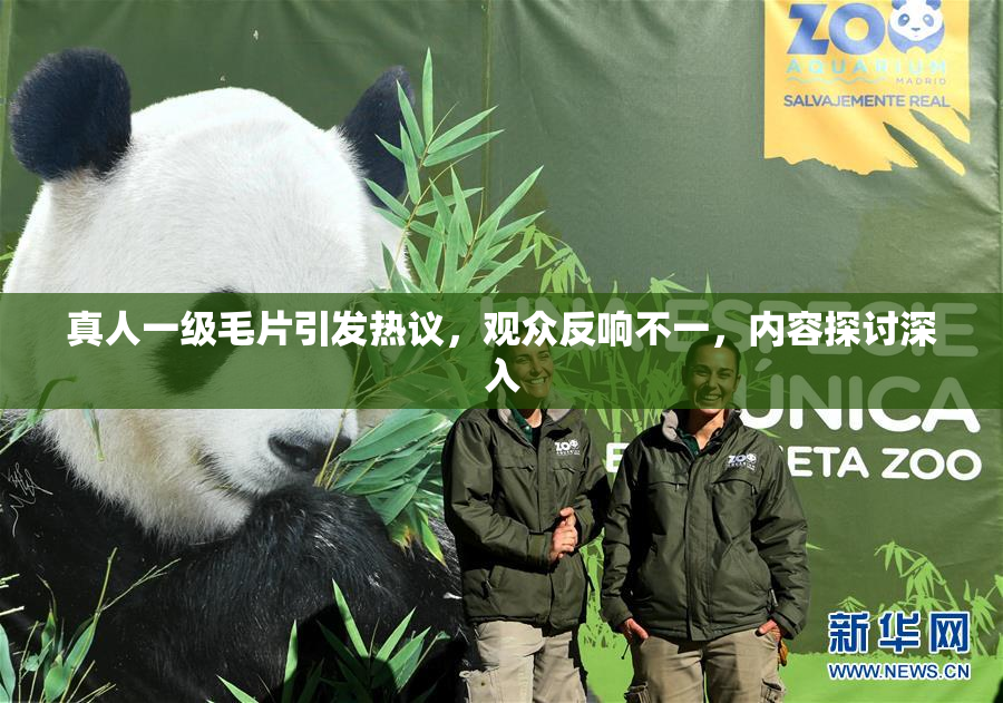 真人一级毛片引发热议，观众反响不一，内容探讨深入