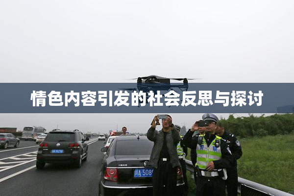 情色内容引发的社会反思与探讨
