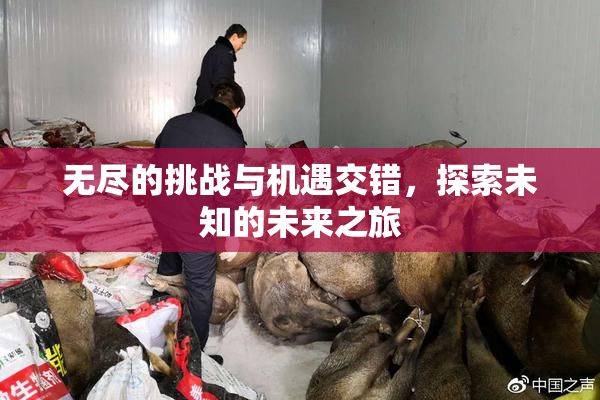 无尽的挑战与机遇交错，探索未知的未来之旅