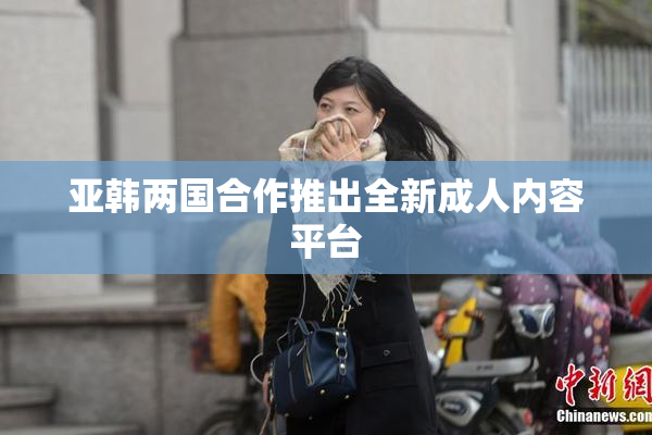 亚韩两国合作推出全新成人内容平台