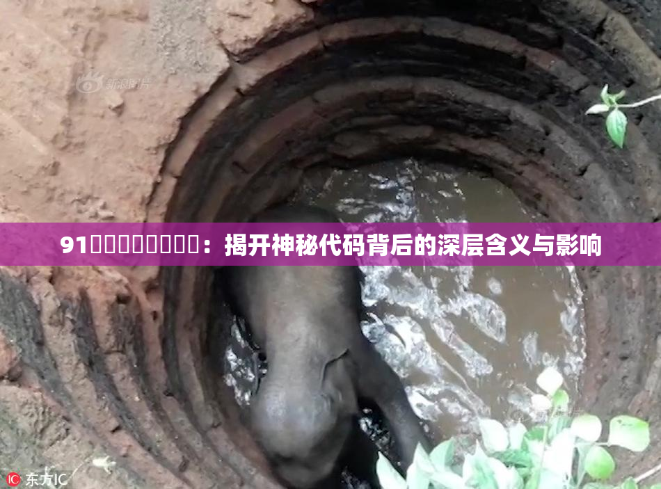 91❌‌❌‌❌‌❌‌：揭开神秘代码背后的深层含义与影响
