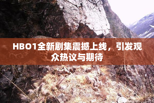 HBO1全新剧集震撼上线，引发观众热议与期待