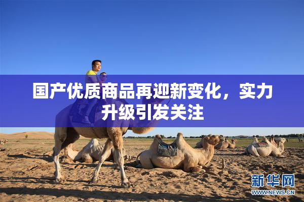 国产优质商品再迎新变化，实力升级引发关注