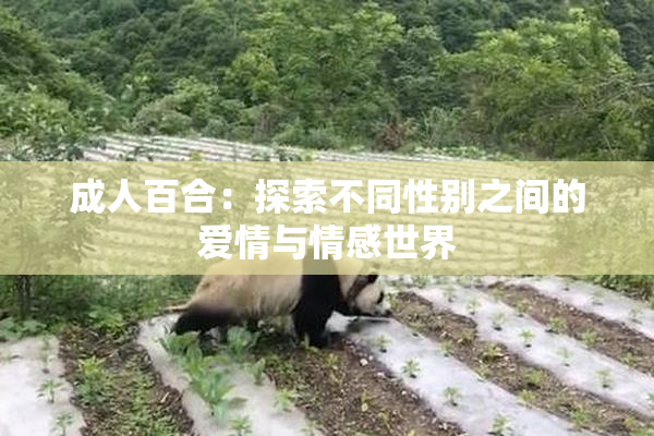 成人百合：探索不同性别之间的爱情与情感世界