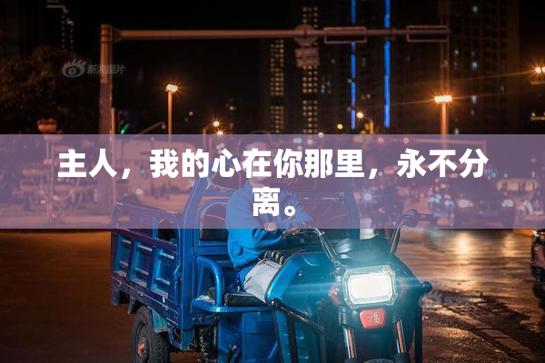 主人，我的心在你那里，永不分离。