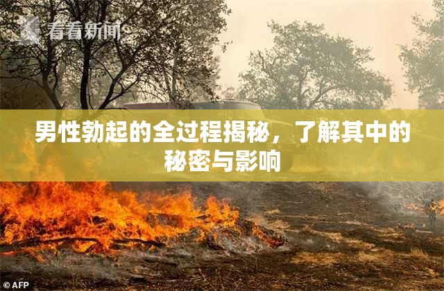 男性勃起的全过程揭秘，了解其中的秘密与影响