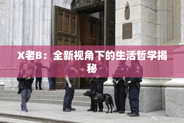 X老B：全新视角下的生活哲学揭秘