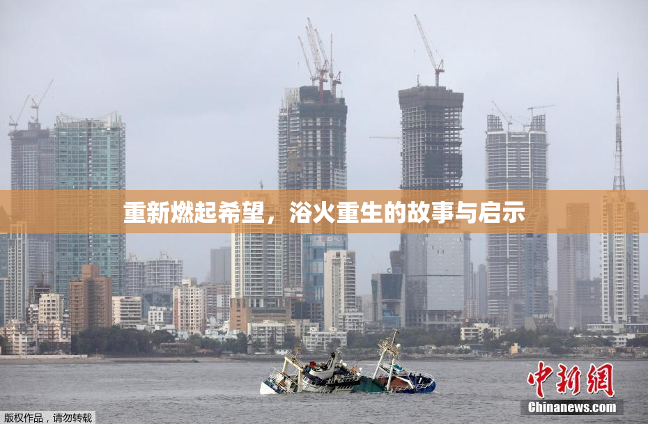 重新燃起希望，浴火重生的故事与启示