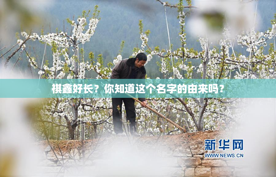 祺鑫好长？你知道这个名字的由来吗？