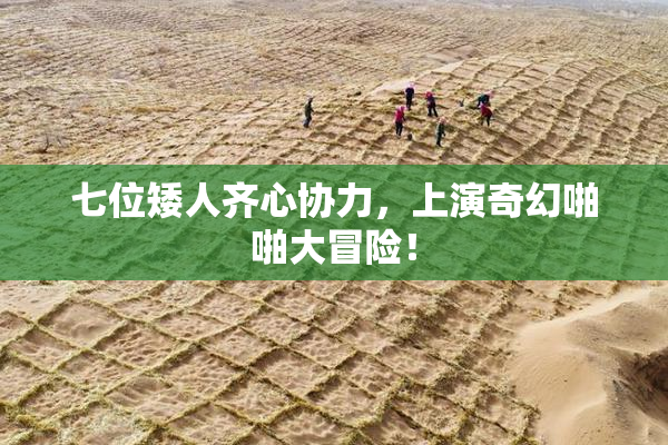 七位矮人齐心协力，上演奇幻啪啪大冒险！