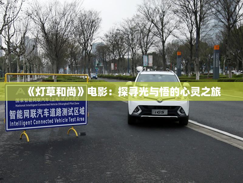 《灯草和尚》电影：探寻光与悟的心灵之旅