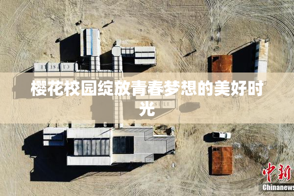 樱花校园绽放青春梦想的美好时光