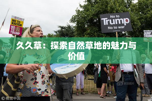 久久草：探索自然草地的魅力与价值