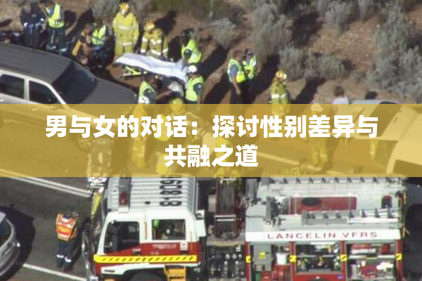 男与女的对话：探讨性别差异与共融之道