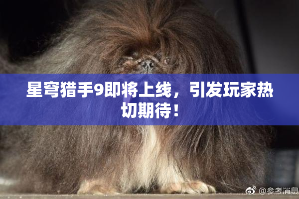 星穹猎手9即将上线，引发玩家热切期待！