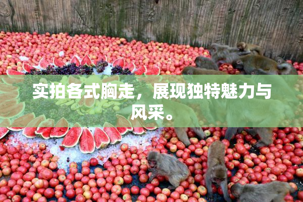 实拍各式胸走，展现独特魅力与风采。