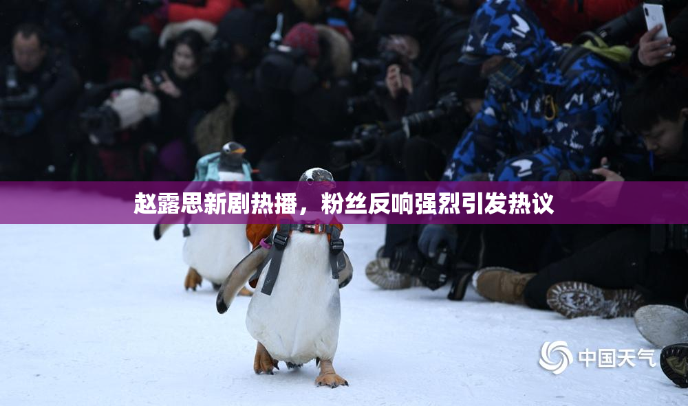 赵露思新剧热播，粉丝反响强烈引发热议