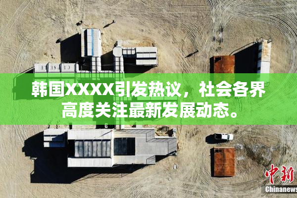 韩国XXXX引发热议，社会各界高度关注最新发展动态。