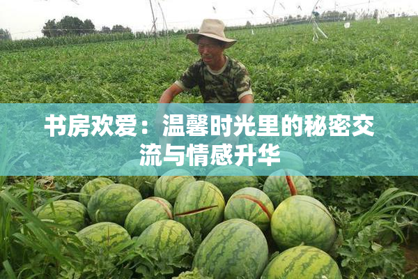 书房欢爱：温馨时光里的秘密交流与情感升华