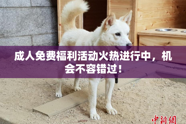 成人免费福利活动火热进行中，机会不容错过！