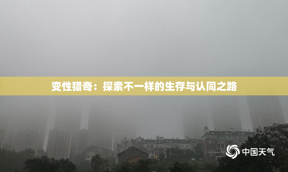 变性猎奇：探索不一样的生存与认同之路