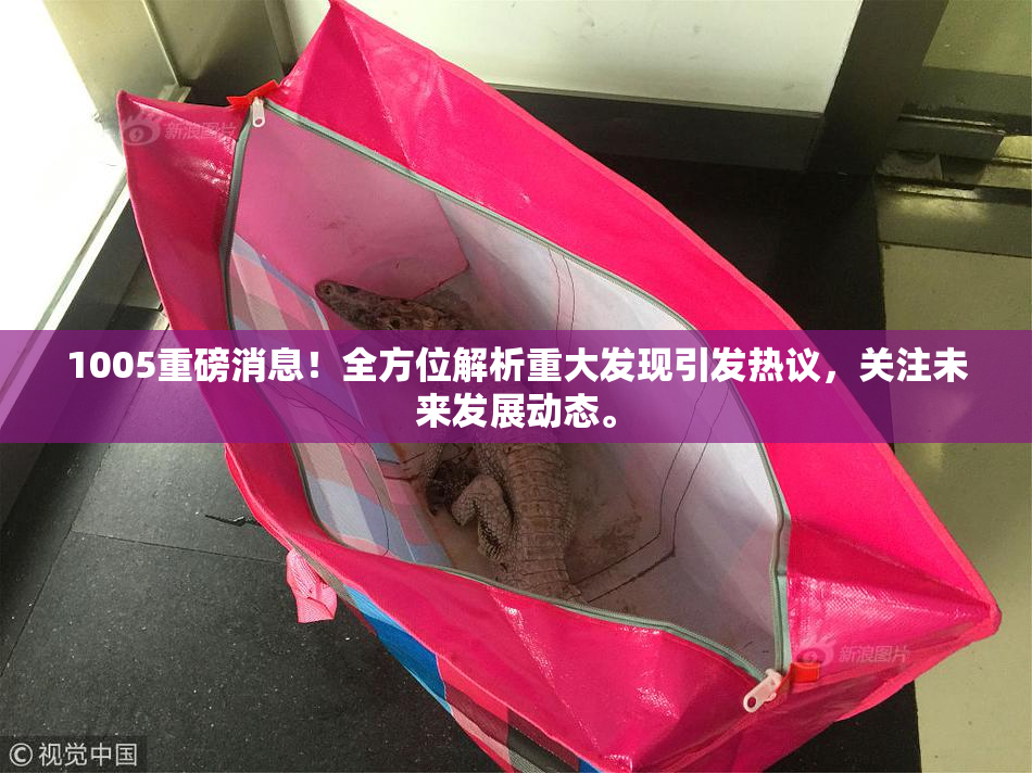 1005重磅消息！全方位解析重大发现引发热议，关注未来发展动态。