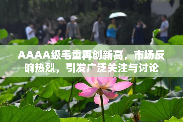 AAAA级毛重再创新高，市场反响热烈，引发广泛关注与讨论