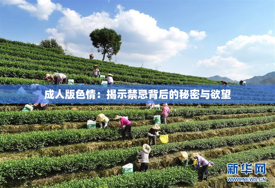成人版色情：揭示禁忌背后的秘密与欲望