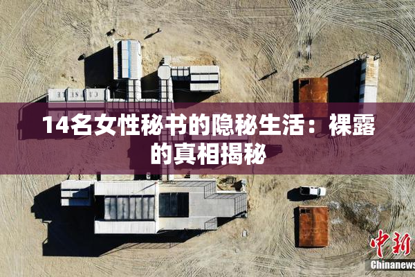 14名女性秘书的隐秘生活：裸露的真相揭秘
