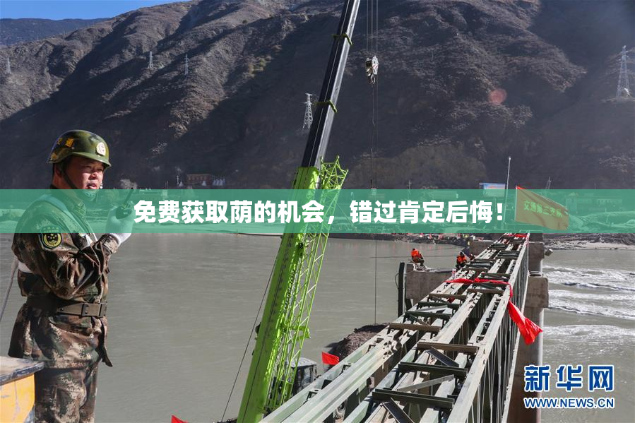 免费获取荫的机会，错过肯定后悔！